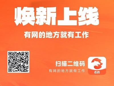 右豹短视频平台：开启轻创业与流量变现之路