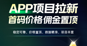 百度网盘、夸克网盘拉新选蜂小推还是任推邦？两大推广平台对比